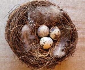 Karen McKie Spiritual Director - eggs in nest