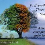 to everything there is a season Picture of a tree and writing