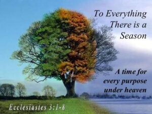 to everything there is a season Picture of a tree and writing